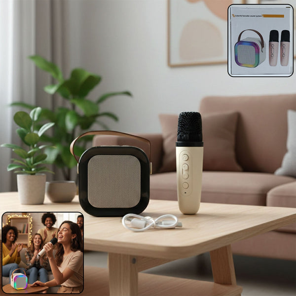 B Grade Portable Karaoke Speaker (1 Set)